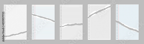torn notebook pages with  holes  grid lined 