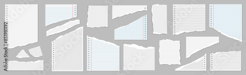 different types of torn notebook pages with  holes  grid lined