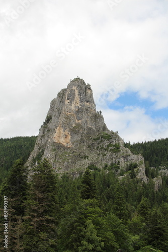 A tall rocky mountain with trees