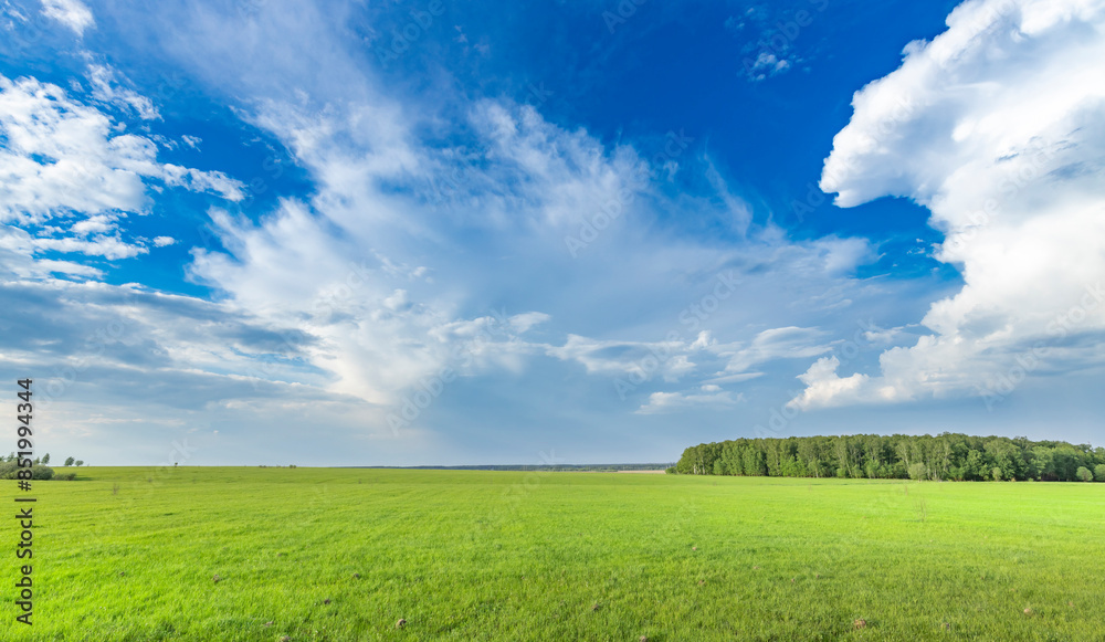 A wide open field stretching towards a cluster of trees in the distance, offering a tranquil and picturesque view of natures beauty under the soft light of spring. A wide open field stretching towards a cluster of trees in the distance, offering a tranquil and picturesque view of natures beauty under the soft light of spring.