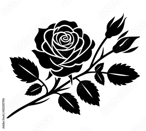 Rose vector Rose icon silhouette with white back ground