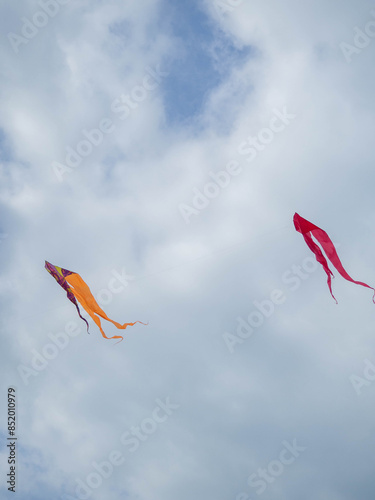 Kite festival. Kite flying in the cloudy sky. Holiday is in the air.