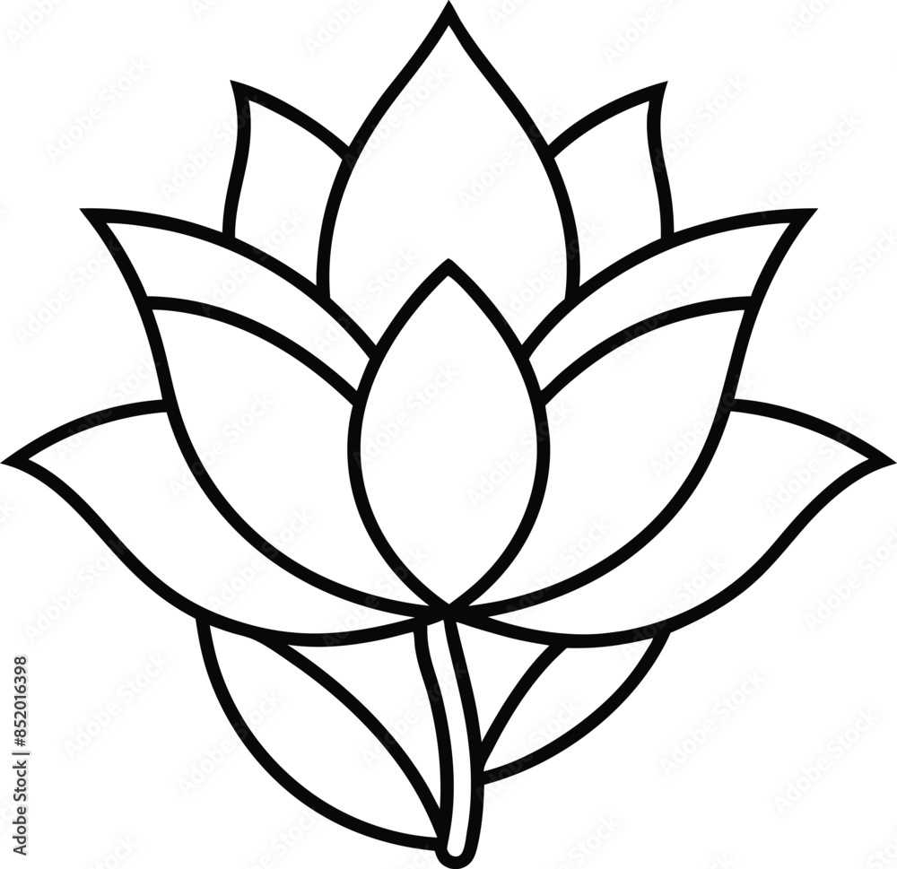 black and white flower black and white flower