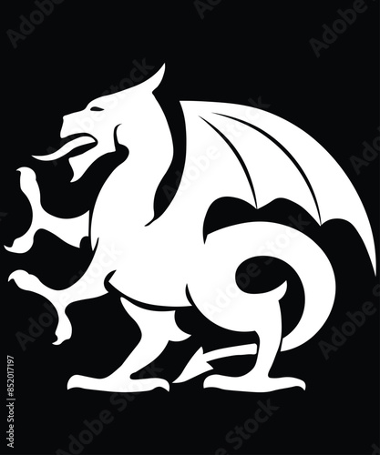 Foto Flying Dragon Silhouette