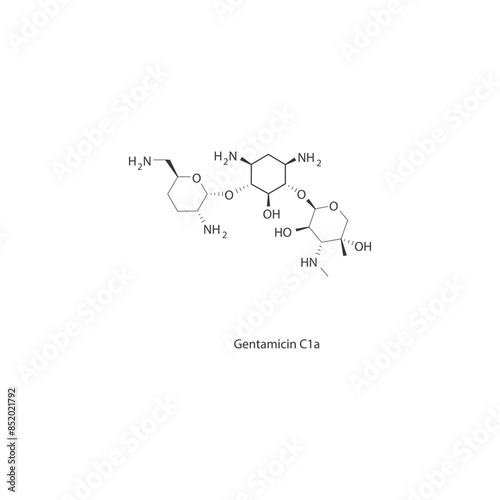 Diagram showing biosynthesis of Prostaglandins from Arachidonic acid via enzymatic reaction - schematic molecular strcuture chemical illustration.