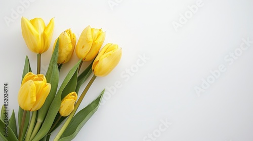Yellow tulip bouquet for Mother s Day with white background and space for Women s Day celebration