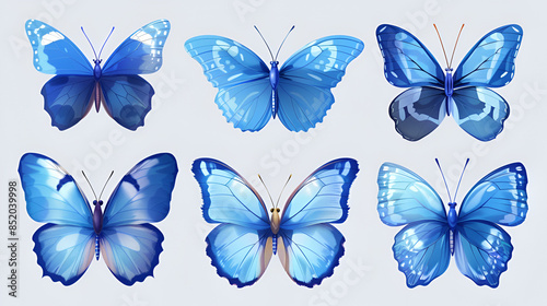 blue butterflies on white background