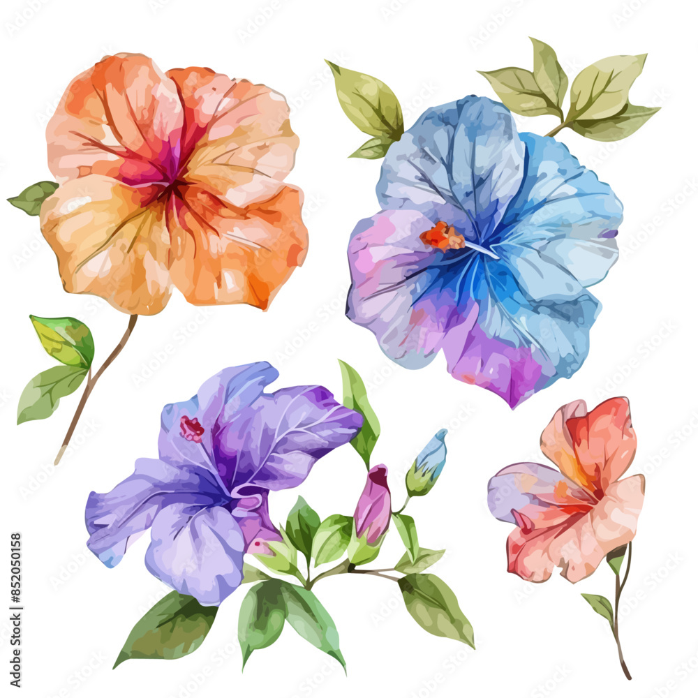 Watercolor vector of a hibiscus flower, isolated on a white background ...