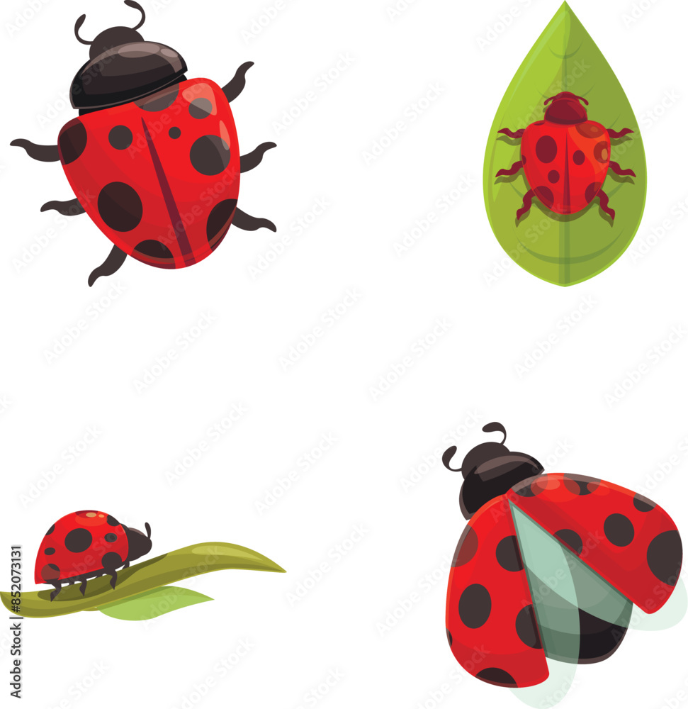Ladybug beetle icons set cartoon vector. Cartoon bright red ladybird. Nature, insect