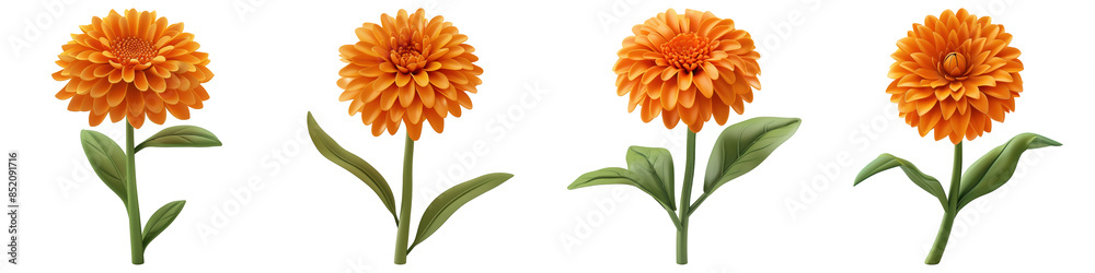 Set of Orange Marigold isolated on transparent png background. Generative ai