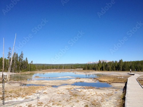 geyser in Yellowstone national park