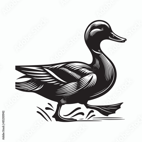 Black a duck silhouette vector illustration on white background