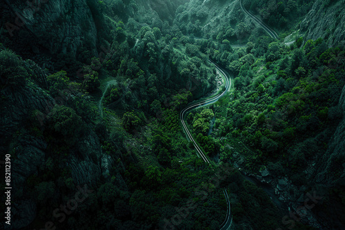 A dark forest with a winding road through it