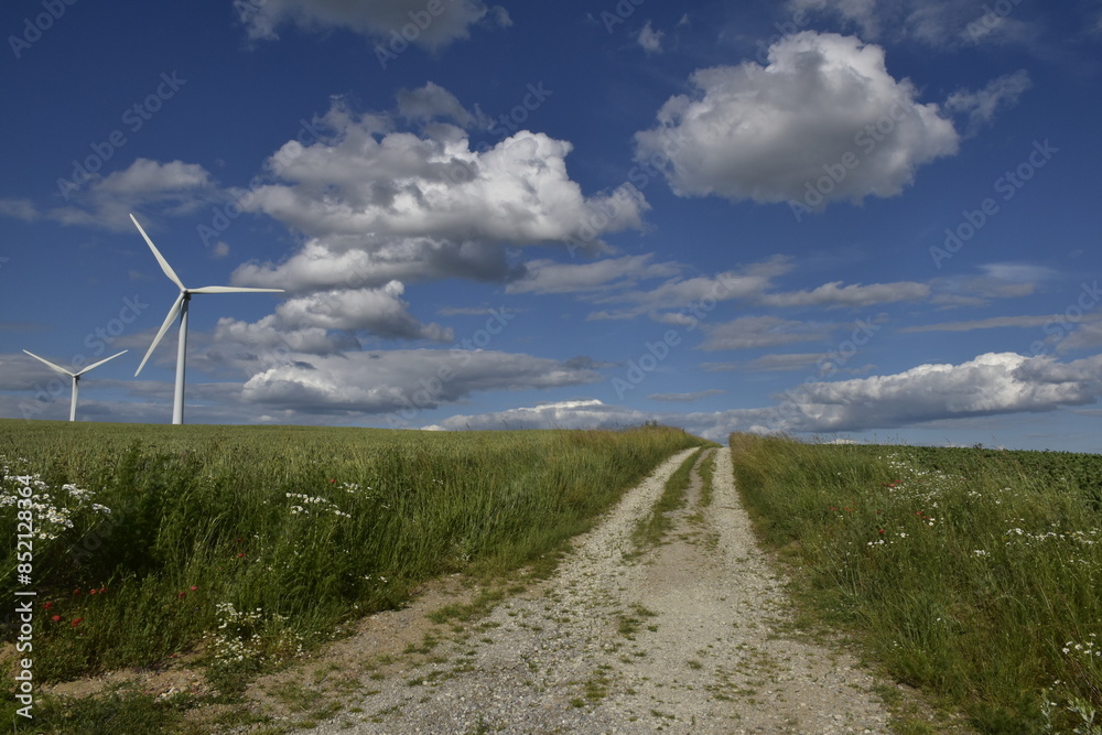 Landschaft und Weg in der Nähe von Alfeld Landschaft und Weg in der Nähe von Alfeld