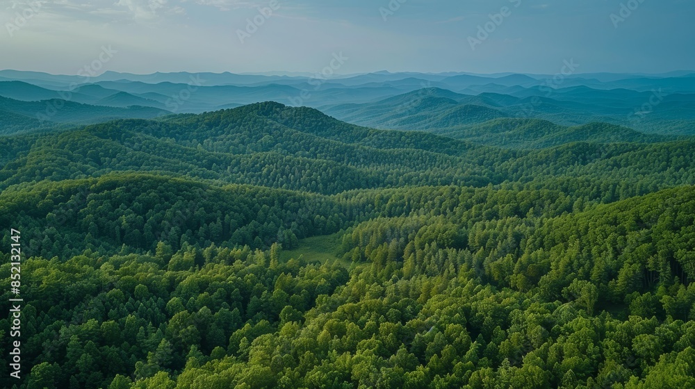 A vast green forest viewed from above, with layers of trees stretching into the distance A vast green forest viewed from above, with layers of trees stretching into the distance