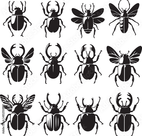 beetle silhoutte  vector style with white color background