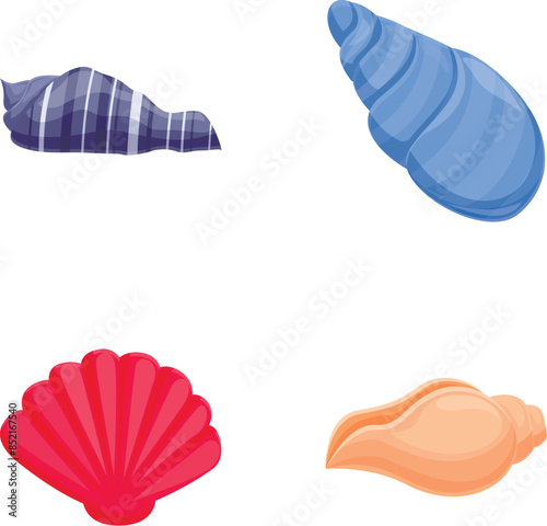 Vibrant set of four isolated seashell illustrations in a clean, flat style