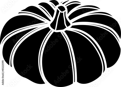 Pumpkin illustration vector