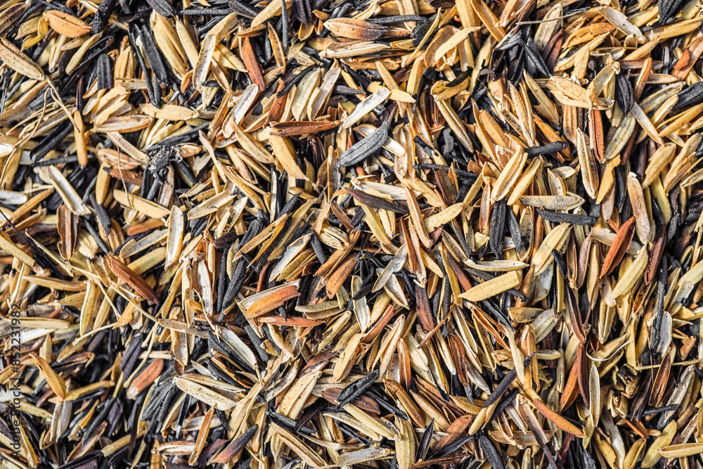 A spread of rice husks during the process of making rice husk charcoal to be used as a growing medium. A spread of rice husks during the process of making rice husk charcoal to be used as a growing medium.