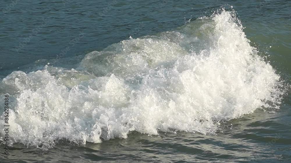 川をさかのぼり砕ける海の波(スローモーション) 川をさかのぼり砕ける海の波(スローモーション)