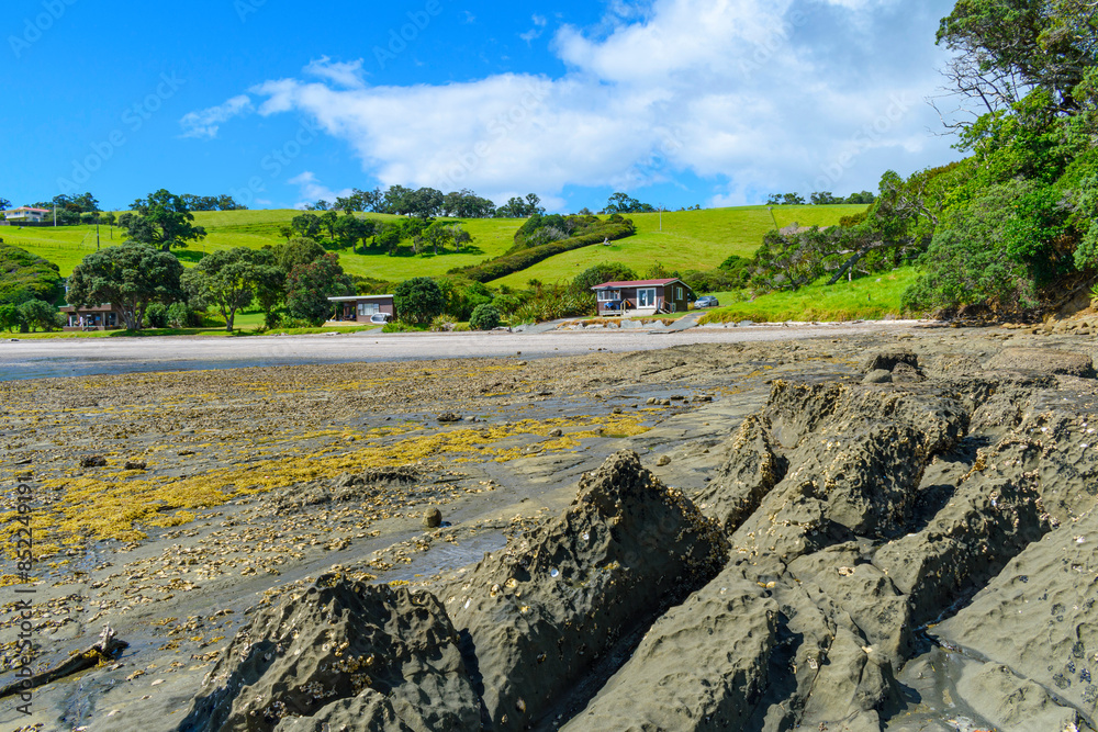 Panoramic View of Scandrett Beach Auckland New Zealand; Rocky Part of The Beach During Low Tide