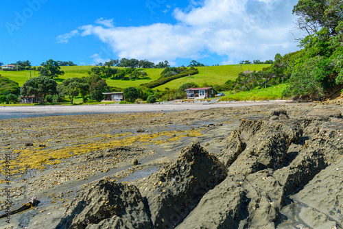 Obraz na płótnie Panoramic View of Scandrett Beach Auckland New Zealand; Rocky Part of The Beach During Low Tide w salonie
