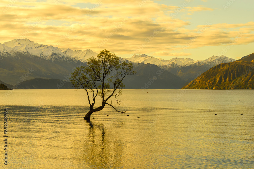 Landscape Scenery Lake Wanaka, South Island New Zealand; Sunset Time; Wanaka Tree