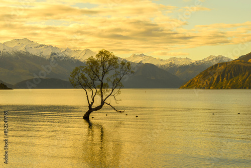 Obraz na płótnie Landscape Scenery Lake Wanaka, South Island New Zealand; Sunset Time; Wanaka Tree w salonie