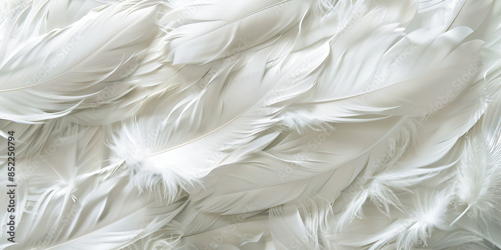 plume pattern, stock photos, abstract, feather, design, background, texture, art, pattern, decoration, elegant, decorative, ornate, artistic, stylish, graceful, delicate, ornamental, decorative patter plume pattern, stock photos, abstract, feather, design, background, texture, art, pattern, decoration, elegant, decorative, ornate, artistic, stylish, graceful, delicate, ornamental, decorative patter