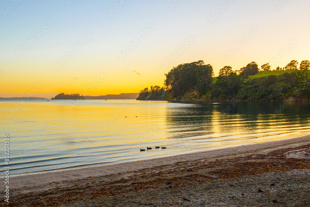 Sunrise Time Scenery at Scandrett Beach Auckland New Zealand