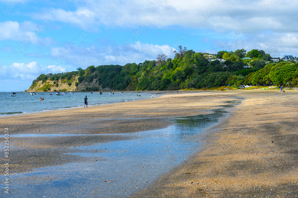 Panoramic View of Martins Bay Beach, Mahurangi East, Auckland New Zealand