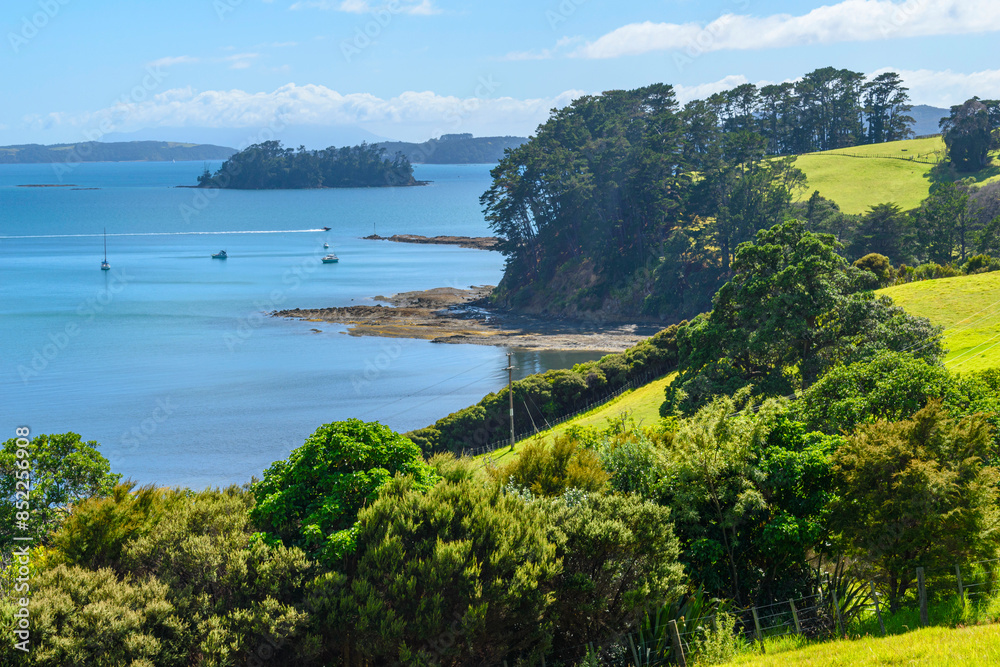 Panoramic View of Scandrett Regional Park, Auckland New Zealand