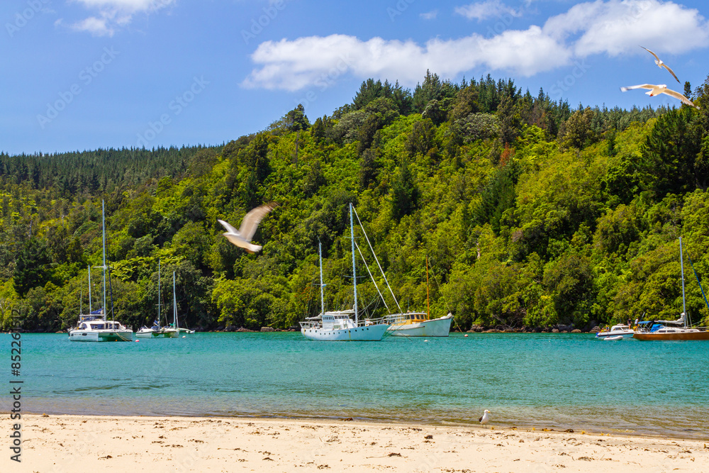 Landscape Scenery of Whangamata Beach, North Island, New Zealand