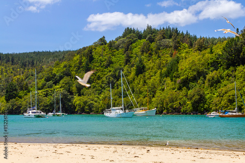 Obraz na płótnie Landscape Scenery of Whangamata Beach, North Island, New Zealand w salonie