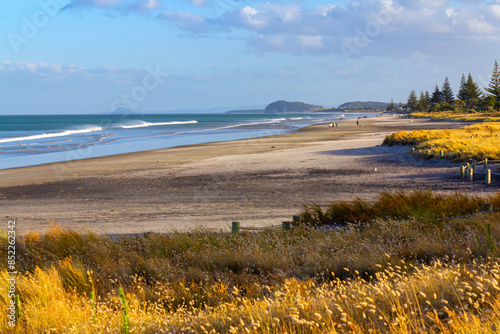 Obraz na płótnie Long Sandy Beach - Landscape Scenery of Waihi Beach at Coromandel Peninsula in the North Island of New Zealand w salonie