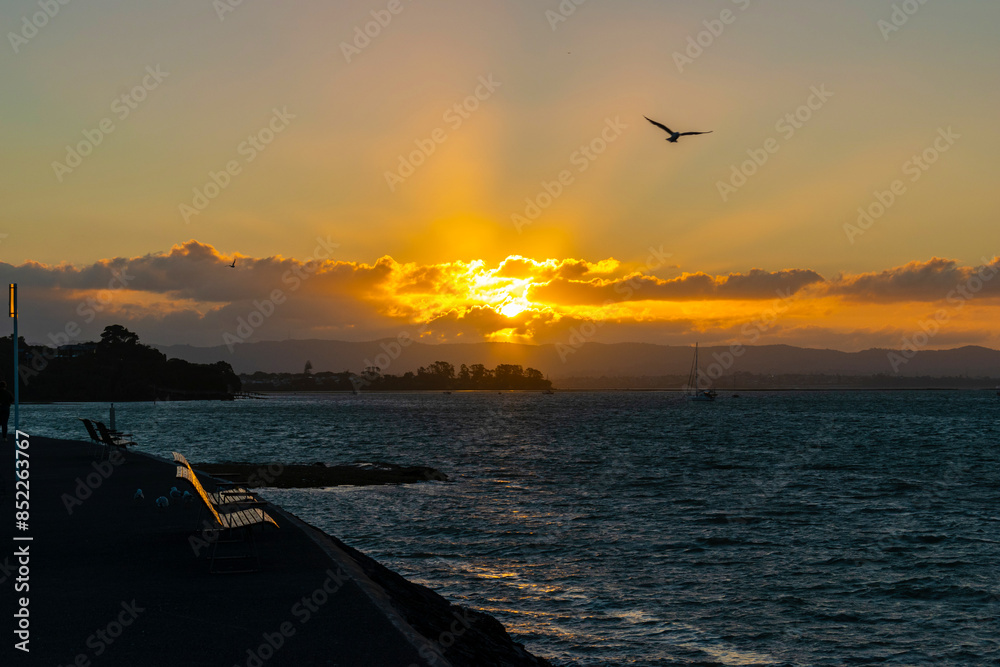 Sunset Scenery at Waitemata Harbour, Auckland New Zealand