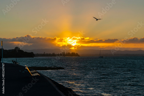 Obraz na płótnie Sunset Scenery at Waitemata Harbour, Auckland New Zealand w salonie
