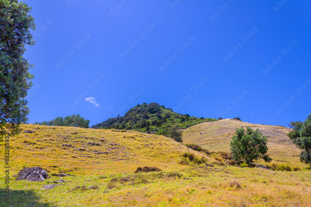 View to the Peak of Mount Maunganui, Tauranga - New Zealand