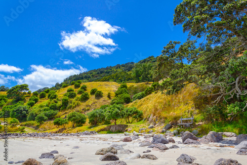 Hillside Scenery of Mount Maunganui Beach, Tauranga - New Zealand