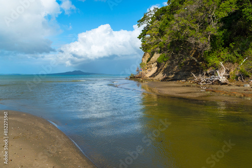 Obraz na płótnie Landscape Scenery Brownsbay Beach and Park, Auckland, New Zealand; Picnic Place for Family w salonie