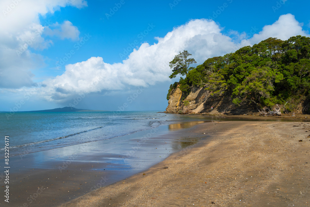 Landscape Scenery Brownsbay Beach and Park, Auckland, New Zealand; Picnic Place for Family
