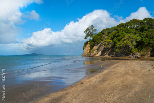 Obraz na płótnie Landscape Scenery Brownsbay Beach and Park, Auckland, New Zealand; Picnic Place for Family w salonie