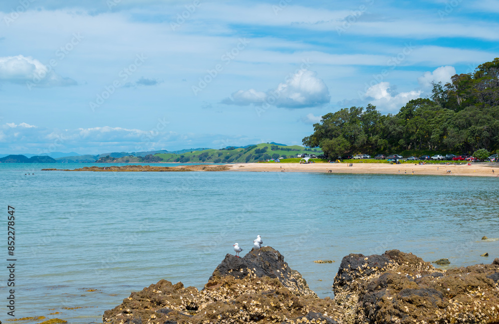 Panoramic View of Waiomanu Beach, Maraetai Beach Auckland, New Zealand; Rocky Parts of the Beach during Low Tide