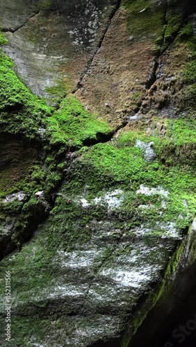 Vertical - Natural Wonders, the mysterious world of the Orridi di Uriezzo photo