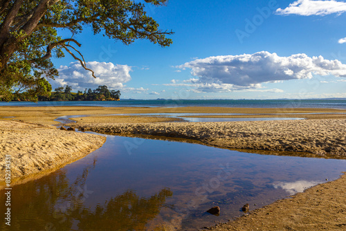 Morning Scenery of Awhitu Regional Park Beach during Low Tide; Kauritutahi Beach; Auckland New Zealand