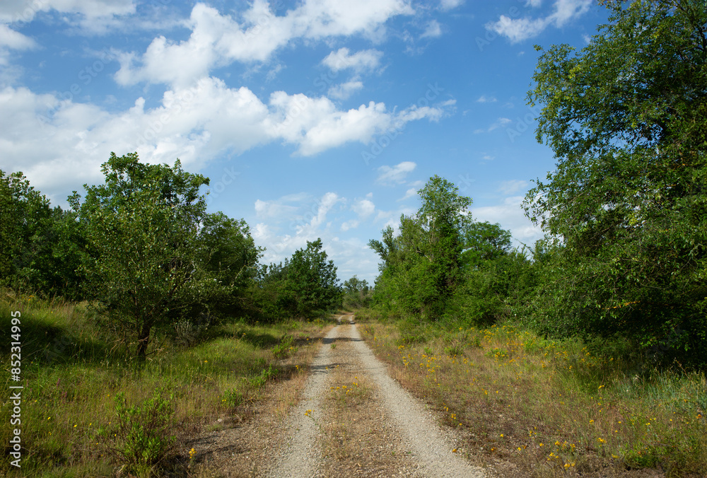 Rural landscape, country road winding through forest Rural landscape, country road winding through forest
