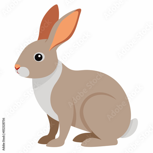 Vector illustration of a rabbit