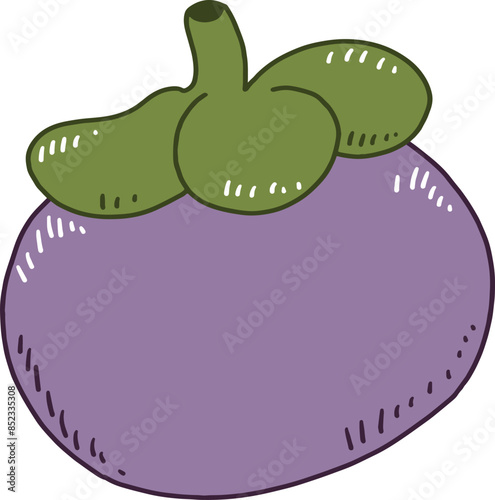 Cartoon tropical fruit named mangosteen photo