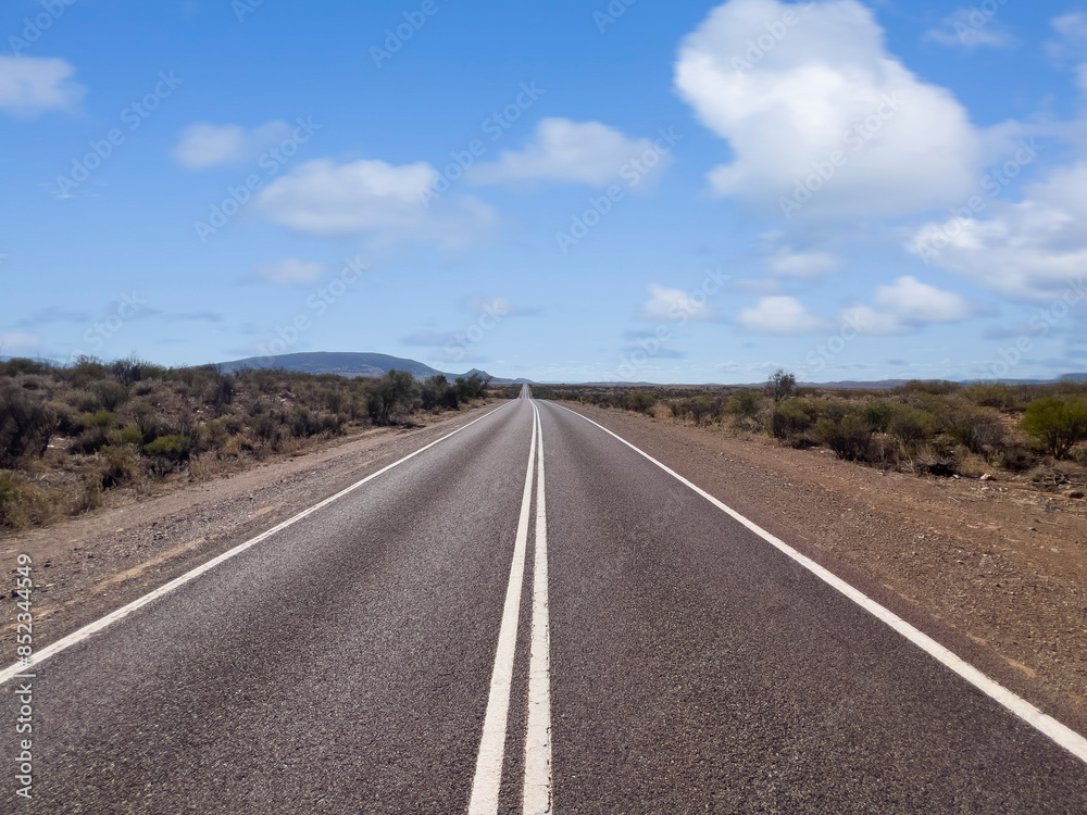 Endless Road through the Australian Outback