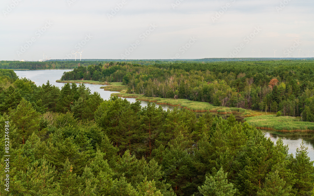 Obraz premium aerial drone of Lake Senftenberg, green forests. Senftenberg Lake Brandenburg Germany . Beauty of nature